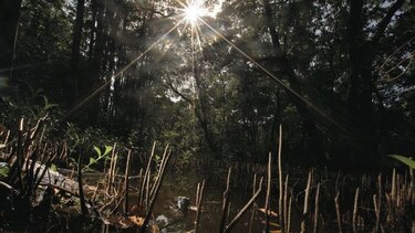 Diálogo por la biodiversidad