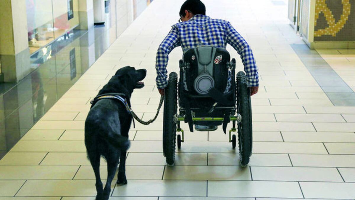 Wallis Brozman y su perro guía brillante .