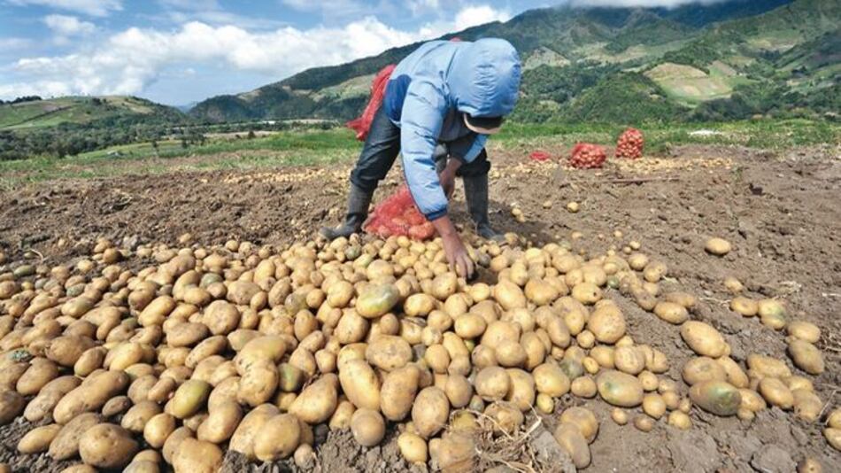 Más papa, pero a igual precio