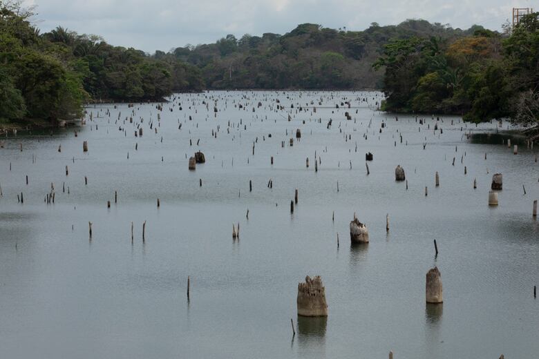 Nuevas potabilizadoras y la sequía pondrán más presión sobre el agua del Canal