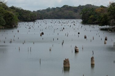 Nuevas potabilizadoras y la sequía pondrán más presión sobre el agua del Canal