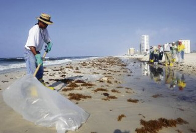 Acciones de British Petroleum caen 6.6%