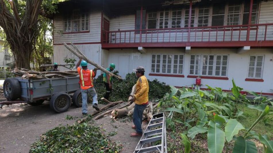 Las normas legales no frenan tala en el cerro Ancón