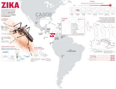 Zika, una amenaza que toma fuerza