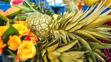 Cocina gourmet: Para compartir en Cuaresma