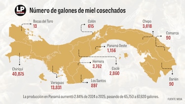 15,529 colmenas generan récord de miel en 2025