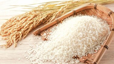 El arroz, el alimento más popular de la cocina mundial