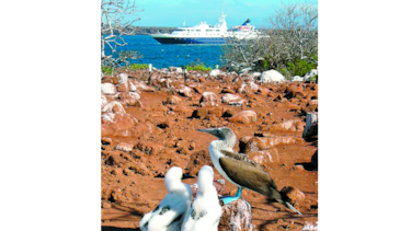 Capturan nave china con fauna vulnerable