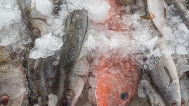 Pescados y mariscos frescos en Río Hato