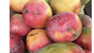 Mango, limón y coco, con futuro en Europa