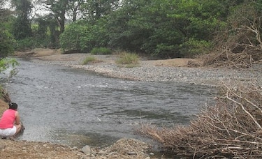 Los Santos: piden a productores almacenar agua; disminuyen fuentes hídricas subterráneas y superficiales