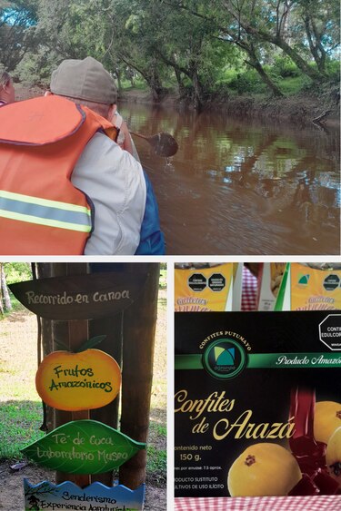 La historia de la finca agroturística La Fortuna: resiliencia y transformación familiar en el Putumayo, Colombia