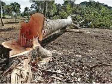 Autoridad del Canal de Panamá autorizó uso de ribera del Canal
