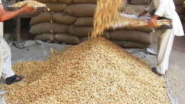 Comer cacahuetes con frecuencia es bueno para el corazón