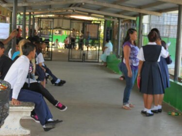 Encuestados abogan por un plan educativo más allá de los cinco años 