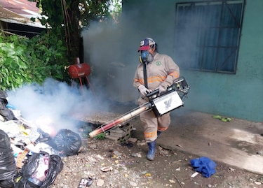 El peor brote de dengue en 20 años: Panamá enfrenta crisis epidémica