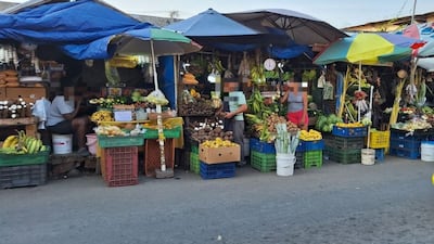 OIT alerta que la informalidad laboral afecta a una de cada dos personas de Latinoamérica
