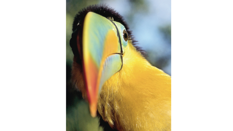 Un vistazo a ‘Panamá the Country’