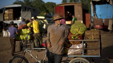 Cuba decreta control de precios en frutas y vegetales