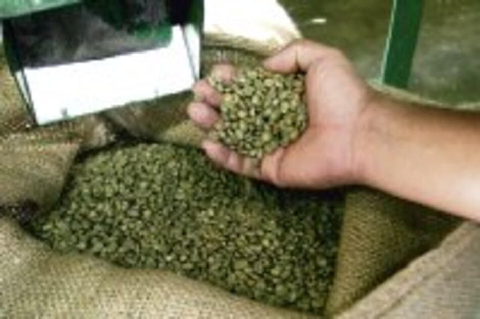 Café panameño ‘geisha’ vuelve a hacer historia en el mercado