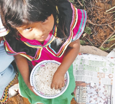 Urgen  planes de sanidad y nutrición en las comarcas