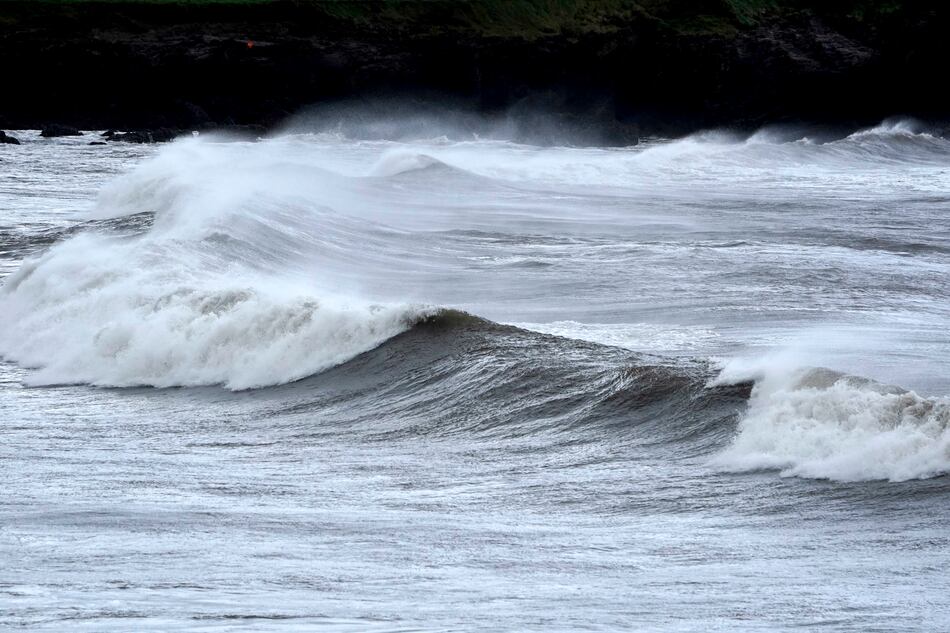 Organizaciones medioambientales urgen a Estados más acción y moratoria a minería submarina