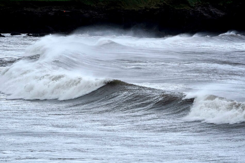 Organizaciones medioambientales urgen a Estados más acción y moratoria a minería submarina