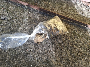 Aprehenden a 36 personas durante operativo policial en Gorgona, Panamá Oeste