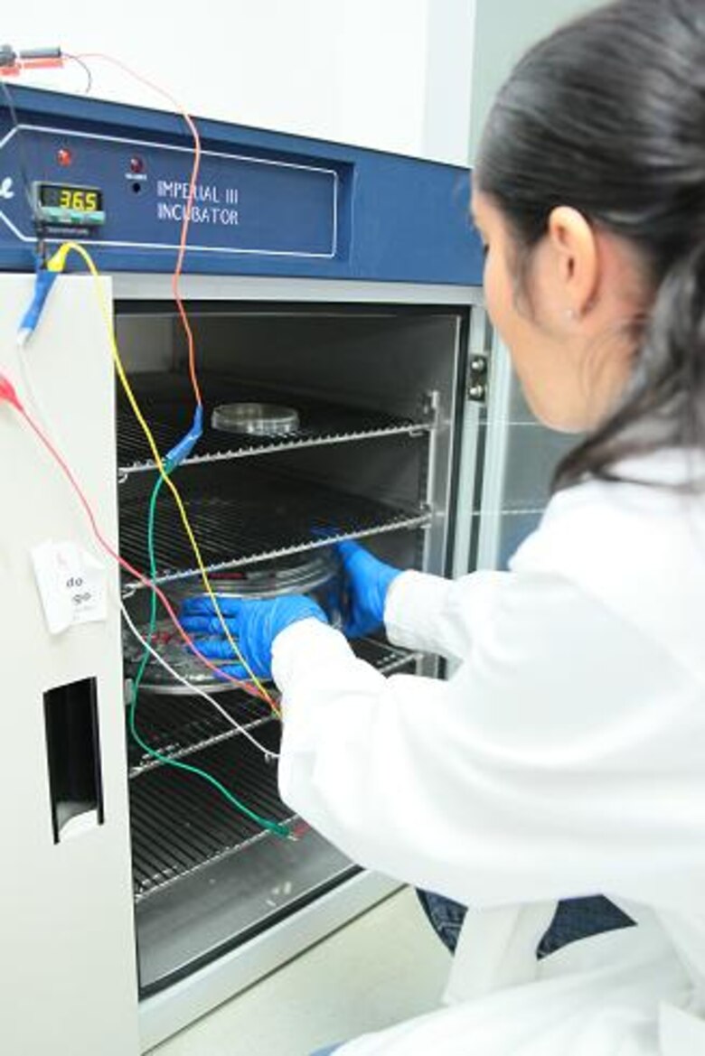 Tratar la malaria con energía y no con drogas, una meta ambiciosa