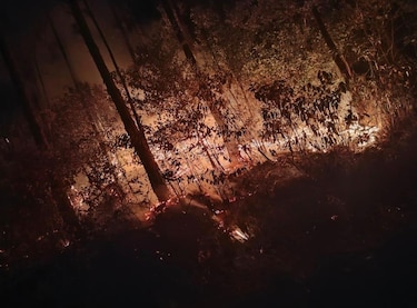 Incendio consume la reserva forestal La Yeguada: más de 100 hectáreas afectadas y una fiscalía abre investigación