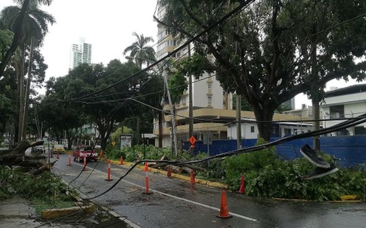 Lluvias dejan inundaciones, árboles caídos y deslizamientos en varios sectores del país