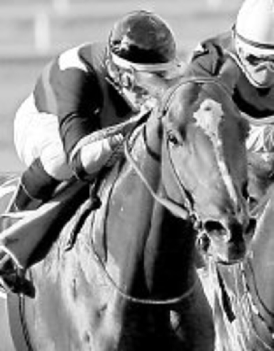 Ejemplares cumplen cuarentena para Gala