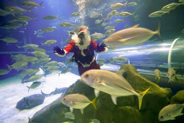 Papá Noel se da un chapuzón entre tiburones en Río de Janeiro