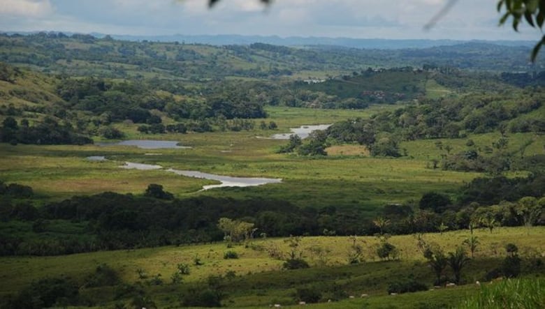 Exministro Guillermo Ferrufino y la finca de El Lirio