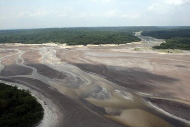 Desforestación en la Amazonía brasileña bajó un 49% entre abril y junio