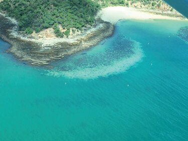 La Gran Barrera de Coral parece un ‘tablero de ajedrez’ blanqueado