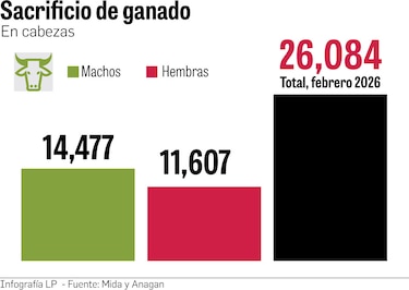 El hurto organizado devora el hato ganadero en Panamá