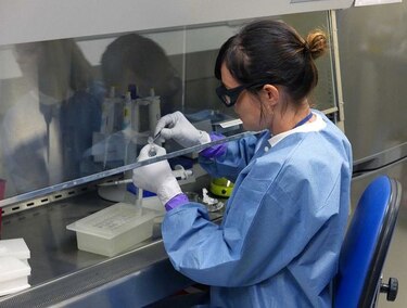 OMS señala riesgo 'muy bajo' de transmisión del zika durante Olimpiadas de Rio de Janeiro