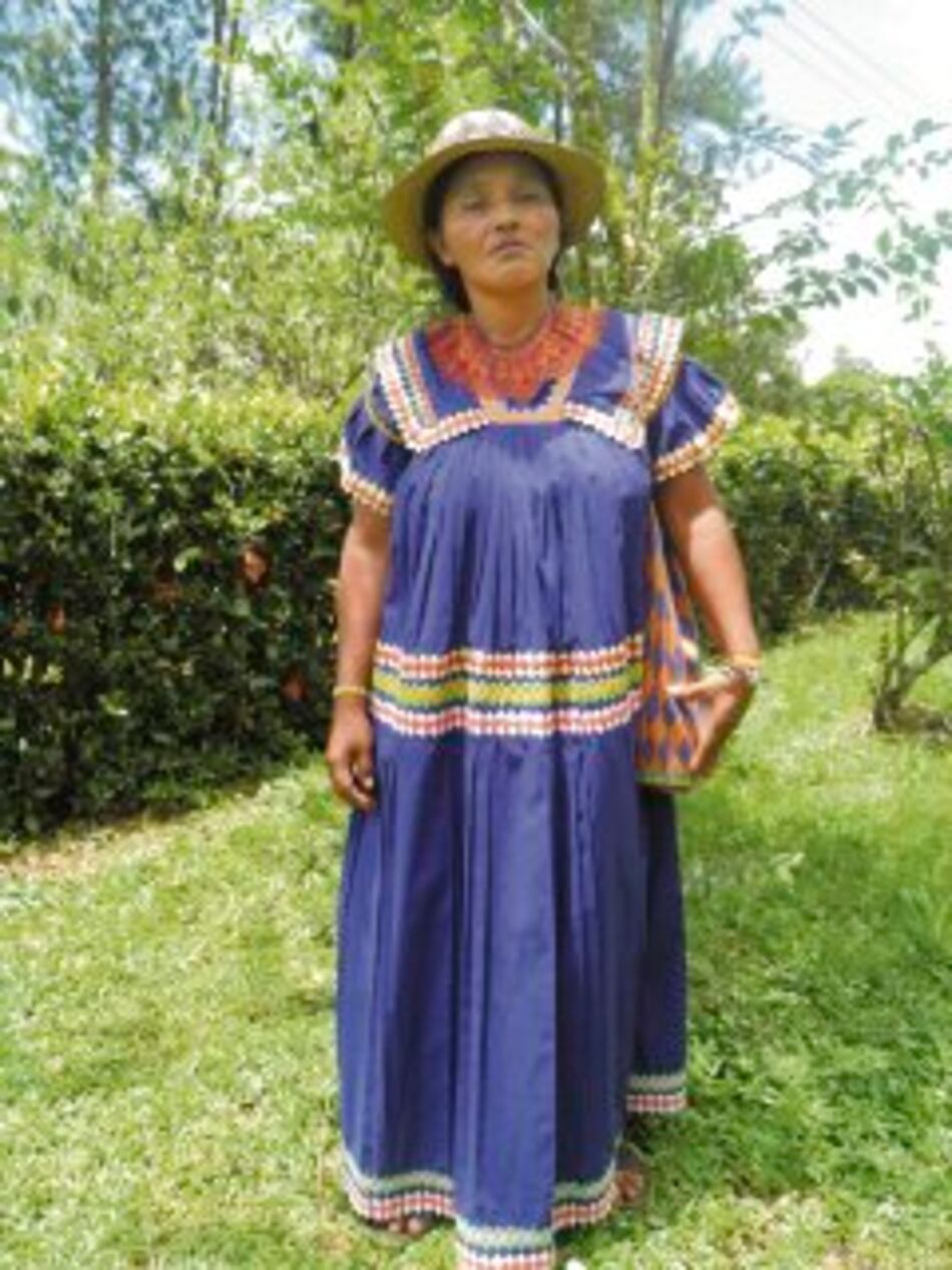 Aducen pugna de interés en salida de cacica