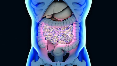 Secretos del microbioma