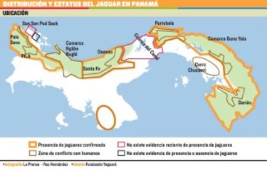 Una oportunidad para el jaguar