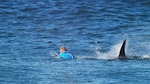 Un surfista australiano sobrevive al ataque de un tiburón