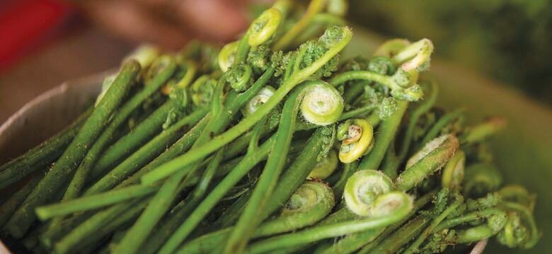 Río Caña y su gastronomía autóctona