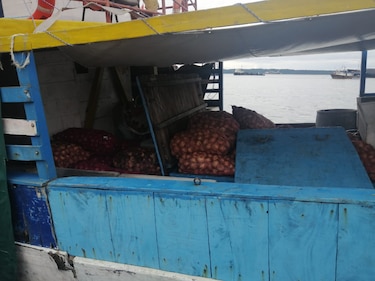 Retienen embarcación colombiana en Colón por posible contrabando de cebollas