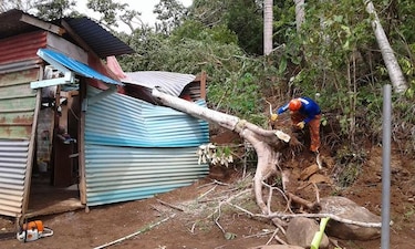 Unos 25 árboles caídos tras fuertes vientos en La Chorrera