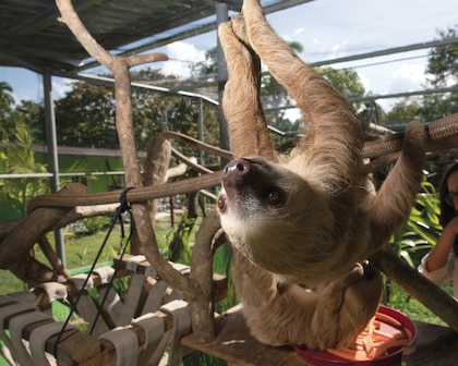 ¿Qué pasa en el Parque Summit? Blandón pide explicaciones a Mizrachi
