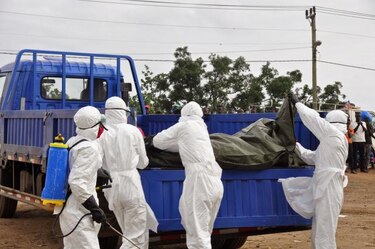 OMS afirma que se necesitan 100 millones de dólares para combatir el ébola
