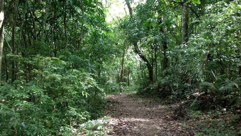 5 Lugares para ejercitarse al aire libre en Panamá