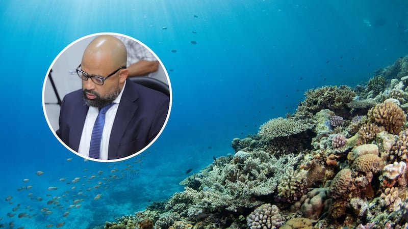 ‘Desmantelan la protección de corales’: ambientalistas alertan sobre nueva ley