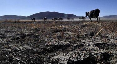 'El Niño' se puede quedar en pacífico tropical oriental con menos intensidad